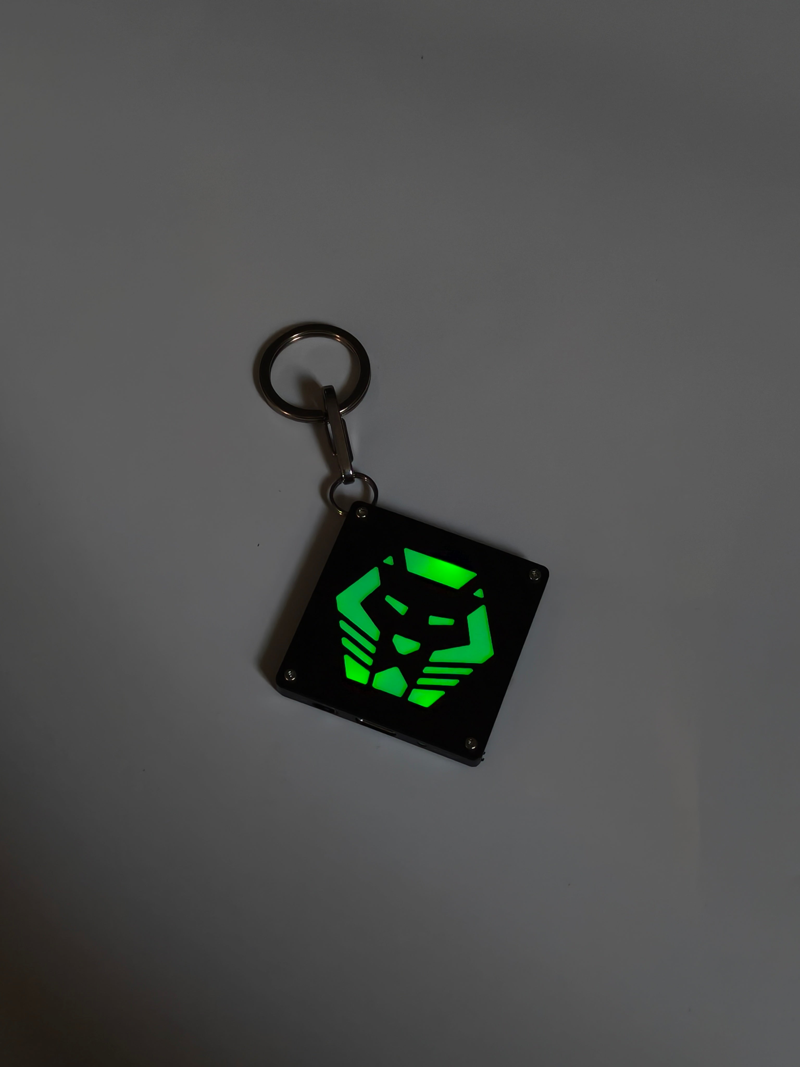 Image of RovyVon Glowing Velcro Logo Patch